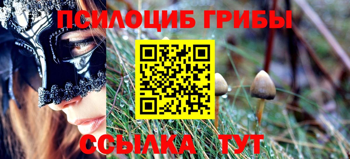 Галлюциногенные грибы мицелий Люберцы
