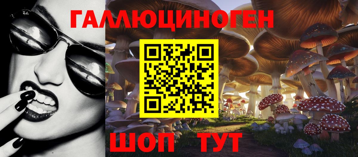 Галлюциногенные грибы Люберцы