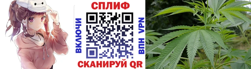 ОМГ ОМГ рабочий сайт  Люберцы  Шишки марихуана гибрид 